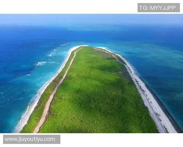 实时新闻上海极限运动队实力全面对比分析与发展潜力探讨